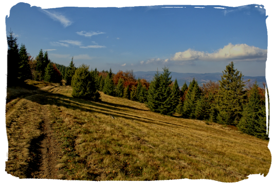 Gorce Gorce